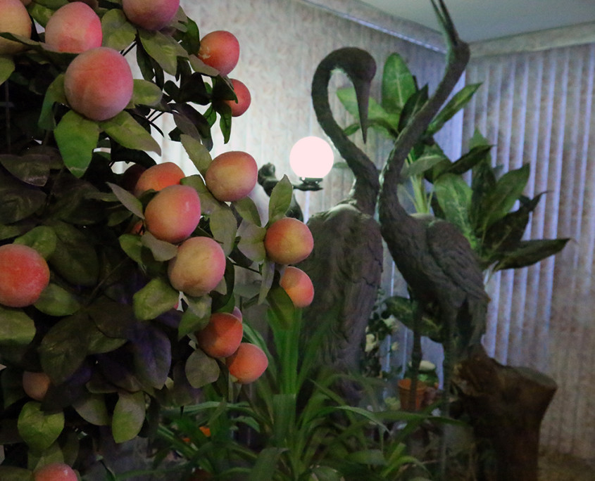 Peaches and Swans at Kew Motor Inn