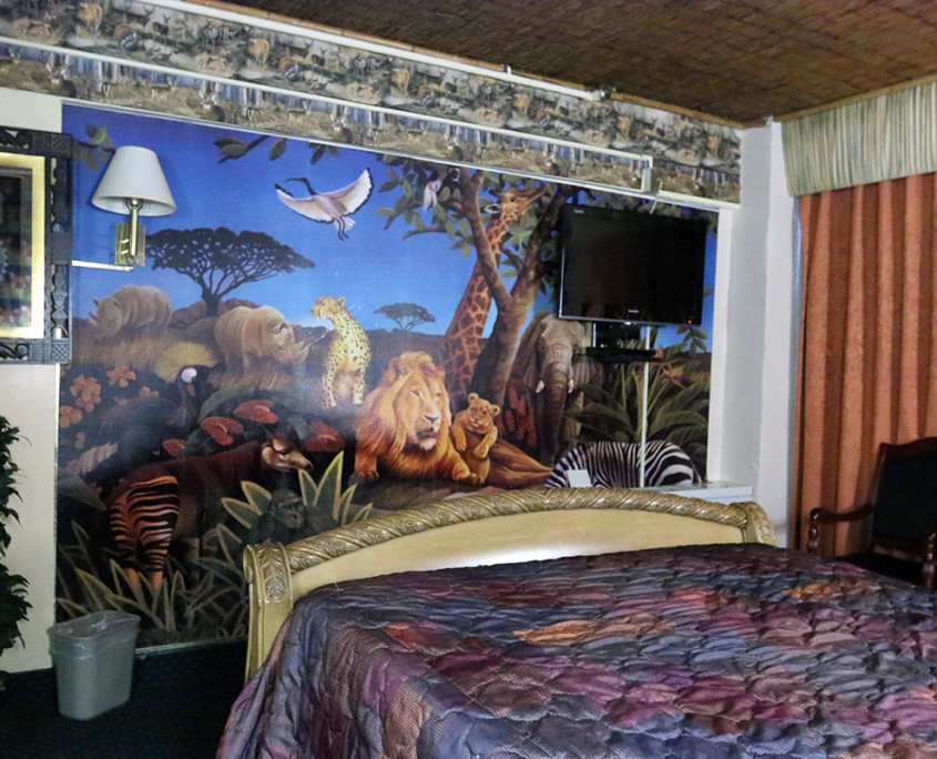 Safari Room